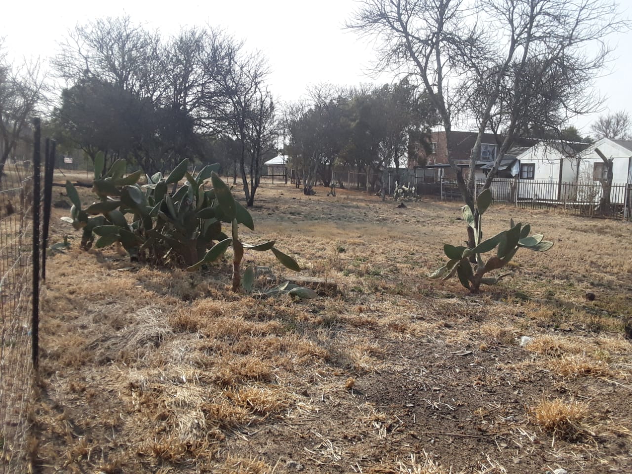 Vacant land / plot for sale in Oranjeville P24113258044