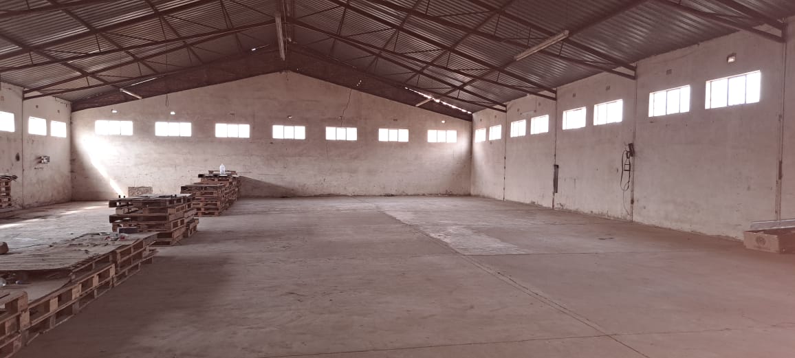 Property and houses to rent in Schweizer Reneke Schweizer Reneke