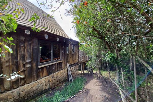 Bushbuck and Tortoise for Neighbours.
Foreigners Paradise
AIRBNB Winning Area
Dreaming of moving down to the coast and escaping the ...