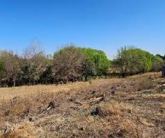 Vacant Land / Plot for sale in Meyerton Ext 6