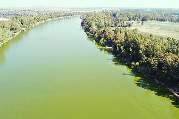 This irrigation farm consists of:

- 138,24 hectar.
- 14 ha game camp.
- 700 m riverfront.
- 126 436 m3 water listing per year out ...