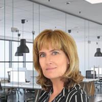 Agent profile for Les Goldman