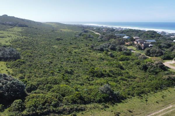 Smallholding with ocean views
This magnificent virgin land has the potential for you to realize your heart&#39;s desire.

Establish ...