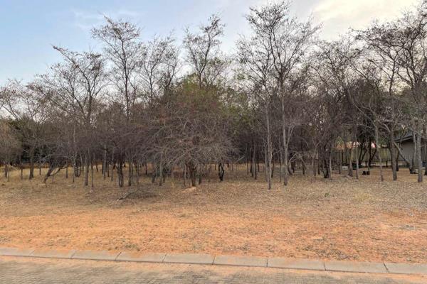 Bou jou droomhuis in &#39;n spog gholflandgoed in die Bosveld ! Bouplanne 
beskikbaar op aanvraag, groot en ruim erf, klein wild loop ...