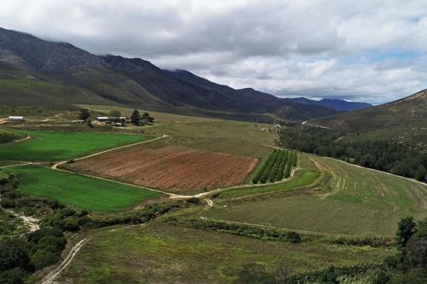 388ha farm with main house and 2 cottages for sale near Uniondale  Western Cape

This lovely farm is set in a valley, around 50 minutes ...