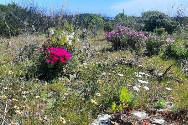 This coastal smallholding, nestled within 2km of Jacobsbaai&#39;s unspoiled Western Cape ...