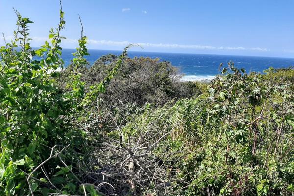 Come build your dream house!

Located in close proximity to the vibrant town of Port Shepstone, this stunning piece of undeveloped land ...