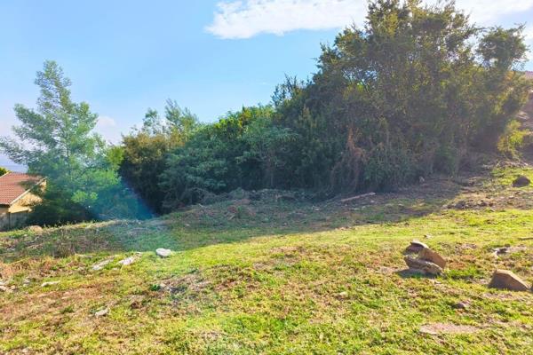 This huge vacant land has great views and is Close to taxi and bus routes.
Requires landscaping and rock removal but both neighbors ...