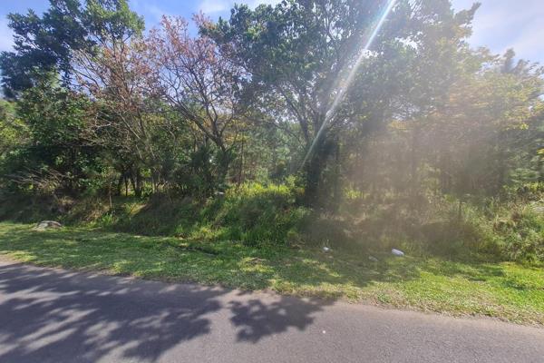 Vacant Land for Sale in Palm Beach

A beautiful and level vacant stand above the road level, offering an opportunity for potential ...