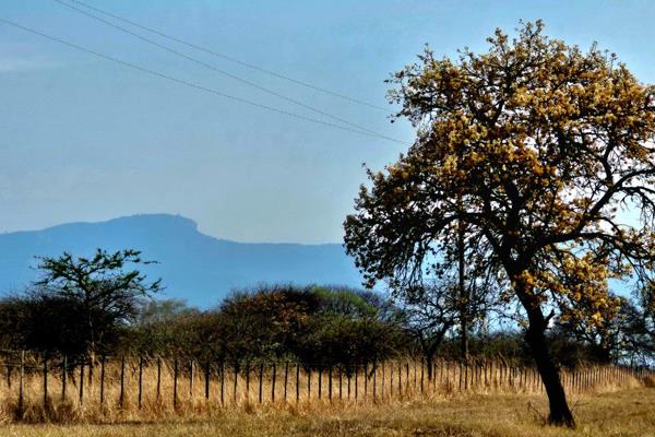 This well managed farm could be just what you were looking for! Close to town- approximate 2km from Elim circle, tucked away lies this ...