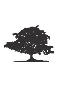 Agent profile for De Plattekloof Sales