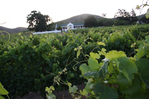 Nestled along the famous Boesmanspad road between Ashton and Swellendam lies this 380ha ...