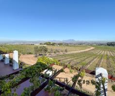 Farm for sale in Stellenbosch Farms