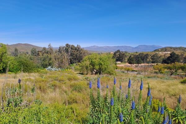 Located in prime position you will find this large corner stand. Stunning views over the town of Bonnievale.