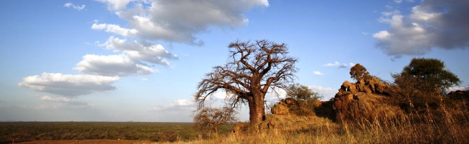 Limpopo