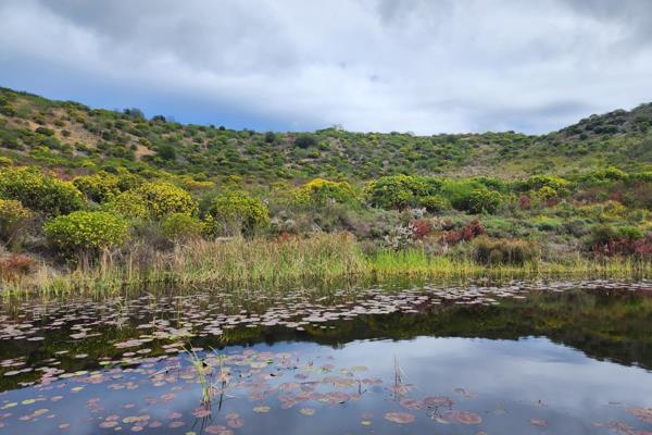 Pezula Private Estate.

Live in harmony with nature with peace of mind in a access ...