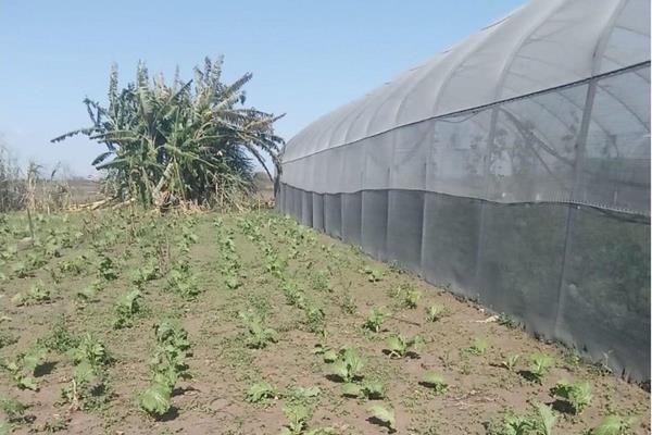 Fully functional 7 hectors plot for sale in Mabopane, Winterveldt.
The plot has ...