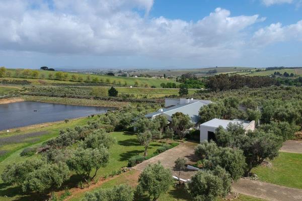 Extensive large home with breathtaking views amidst your very own olive grove.

This ...