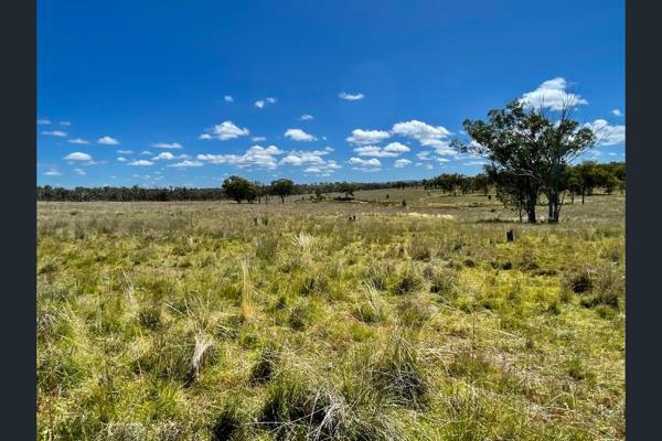 Discover the epitome of family living in this spacious and inviting 3-bedroom home located in the charming town of Winterton. The ...