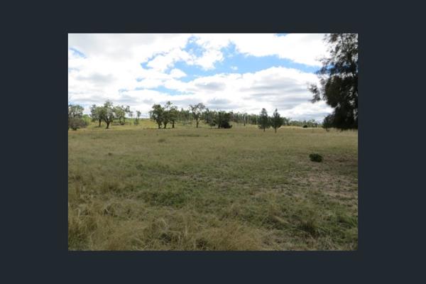 Discover the potential of this expansive 25-hectare farm in the scenic Empangeni region. This remarkable property offers a range of ...