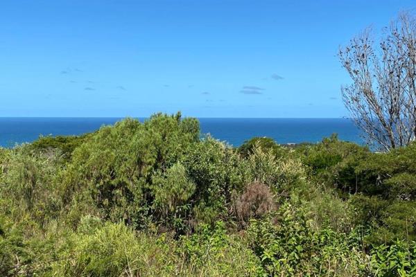 We are thrilled to offer you this north-west facing plot on the old side of Cintsa ...