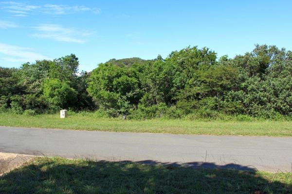 This plot is south east facing on the new side of Cintsa East.

Freehold title, you are only subject to municipal building regulations. ...