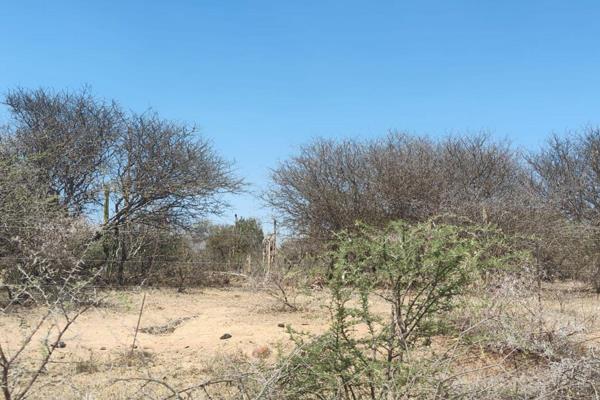 This 8.5ha vacant plot is situated in the heart of the Bushveld approximately 55km from Bela Bela on the R516 towards Thabazimbi.

1x ...