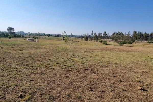 Vacant land in Riversdale.

49 Vacant stands for sale in a fast-developing area close to all amenities.
The sizes of the stands vary ...