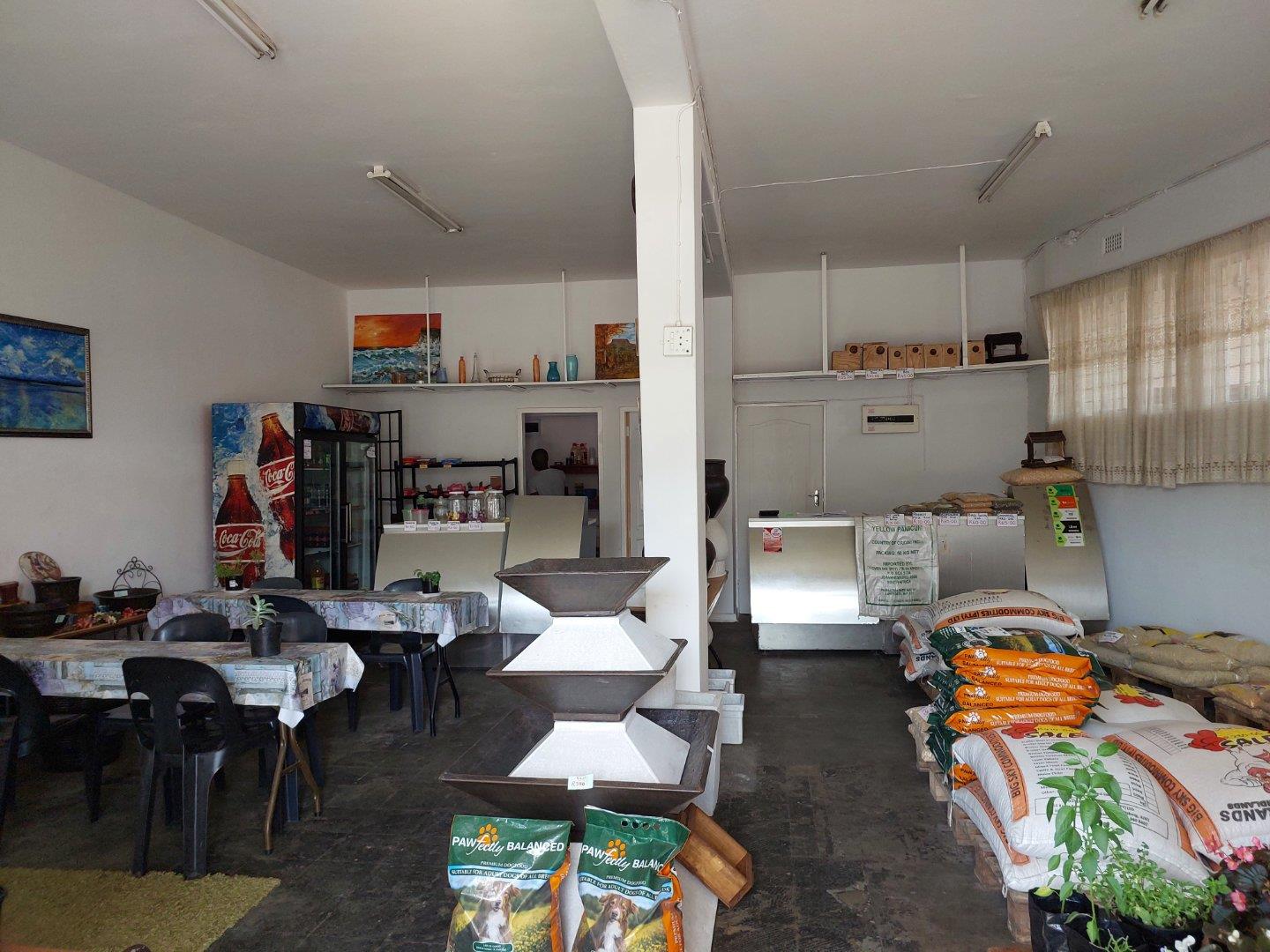 Northdale Property Property and houses to rent in Northdale