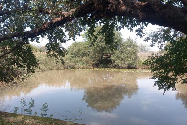 This is the one!!
80 hectares prime land in Dinokeng Game reserve 
Big river front 
4 ...