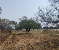 Vacant Land / Plot for sale in Rietvly AH