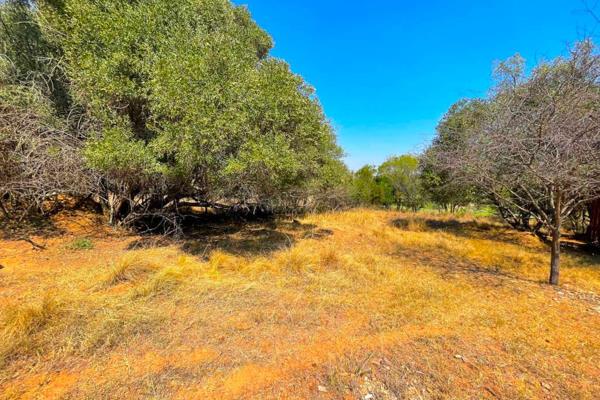 A rare gem within Koro Creek Bushveld Estate, this 1500sqm vacant lot 
offers an unparalleled view of the pristine golf course. With ...