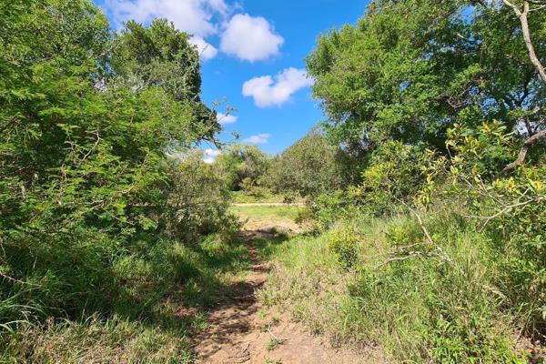 Very secluded, riverfront with mountain view, full title stand situated in the Big 4 Game Reserve, with no direct neighbours. Situated ...