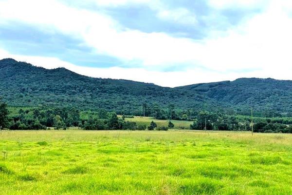 This lovely large, 2.89Ha vacant erf has beautiful views over the Amatola mountains, set ...