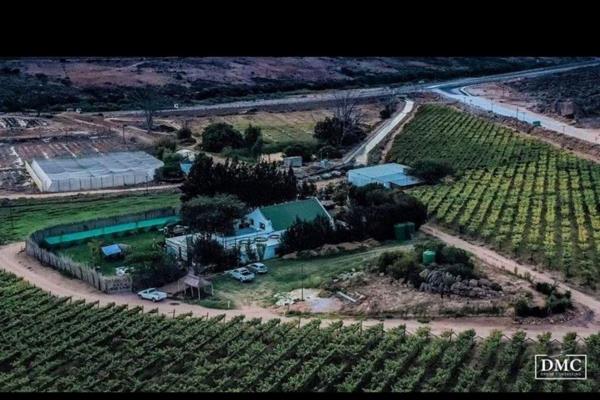 This farm has the best of both worlds. Situated 282km form Cape Town on the N7, you will find this gem. From the Olifants River water ...