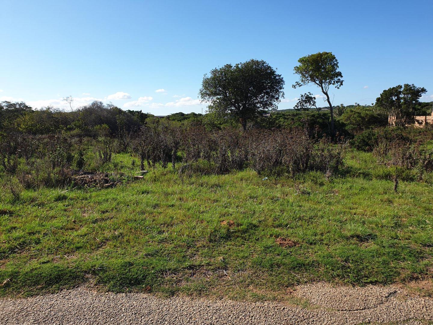 Bushmans River Mouth Property Houses for sale in Bushmans River Mouth