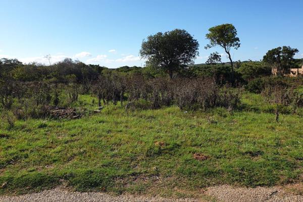 Land in Riversbend, Bushman&#39;s River Mouth is a great opportunity to build your dream home. 
Flat and a good size, making it ...