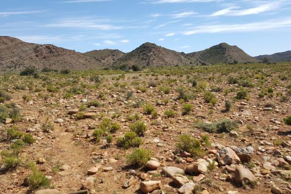 273 Ha Karoo plaas tussen Riversdal en Ladismith met uitsonderlike potensiaal vir stoet boerdery.

Die plaas bestaan uit twee aktes ...