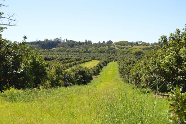 Stunning Piece of Agricultural Paradise: A Lucrative Investment Opportunity
Nestled in the breathtaking landscape of Port Edward, this ...