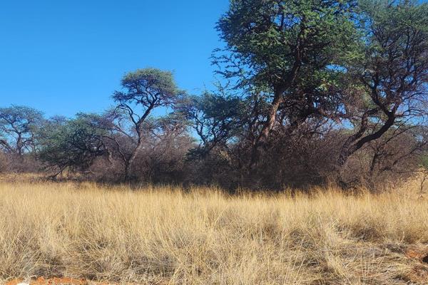 Vacant land for sale on the Kalahari Golf Estate


Last few stands available.

Build your dream home on this 1308 m2 stand and make it ...