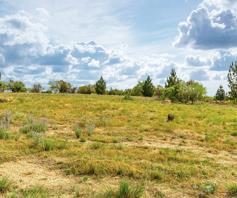 Vacant Land / Plot for sale in Blue Hills Equestrian Estate