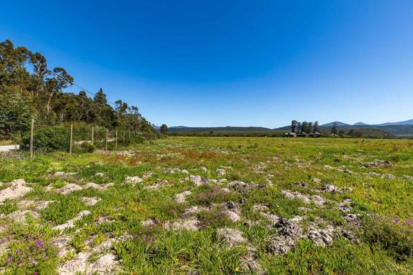 Discover a truly magnificent opportunity with this remarkable 8-hectare vacant land, offering unparalleled north-facing lake frontage ...