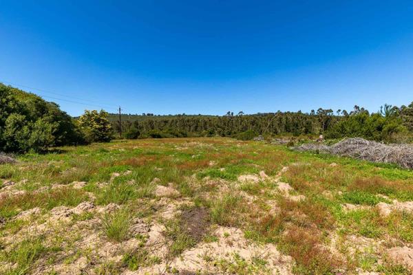 Discover a rare opportunity to own a 35.5-hectare parcel of pristine vacant land, ideally situated adjacent to a conservation area and ...