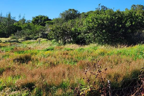 1070Sqm Panhandle plot for sale in a quiet part of our town
Best soil for vegetable and other gardening.
Only few vacant plots left ...