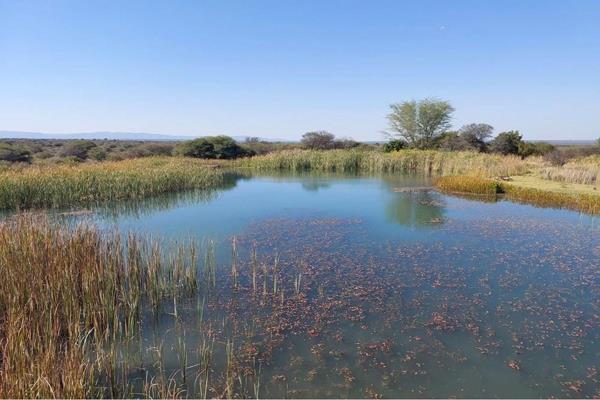 Vacant land on Ditholo Wildlife Estate in Limpopo is yours to capture and build your dream bush house here.


1 of 2 potions on the ...