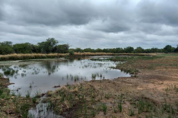 Truly unique 149 Fenced Hectares on offer in Dinokeng 
Game breeding exceptions are in ...