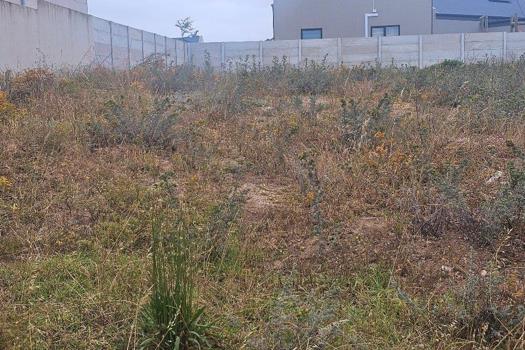 Vacant Land / Plot for sale in Vredenburg