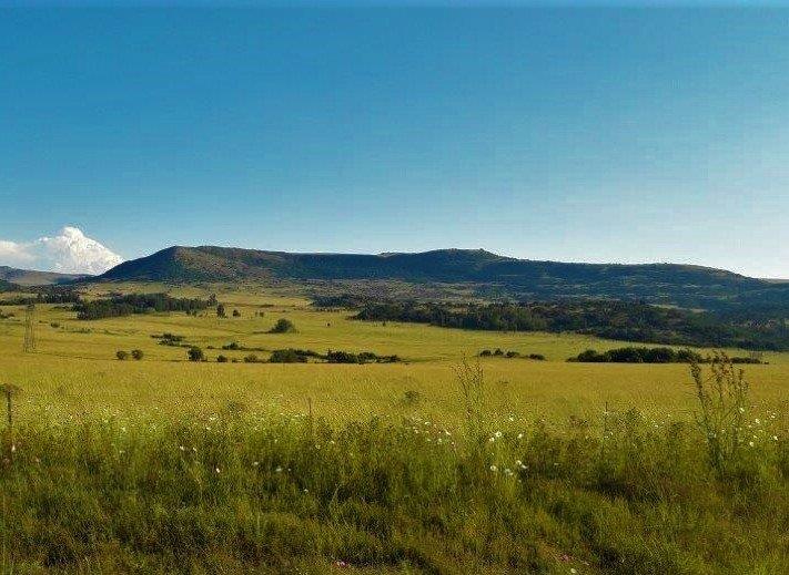 Farm for sale in Newcastle Central P24113556806