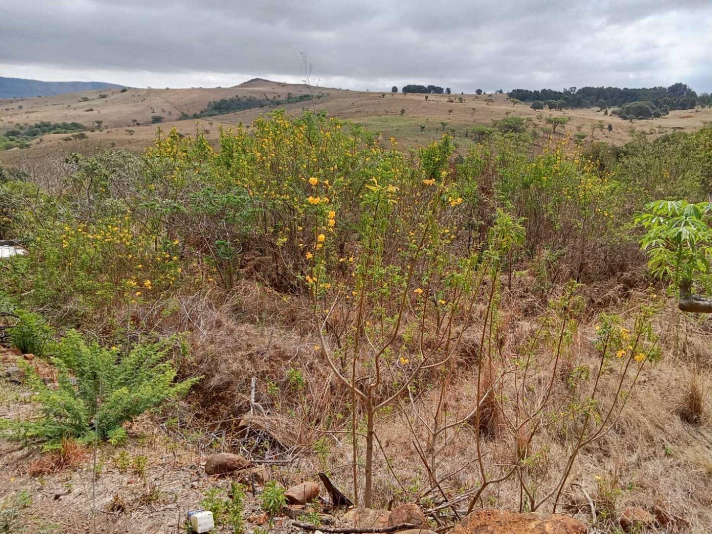 Vacant land / plots for sale in Newcastle Newcastle Property Page 3