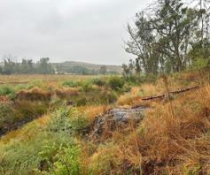 Vacant Land / Plot for sale in Magaliesburg